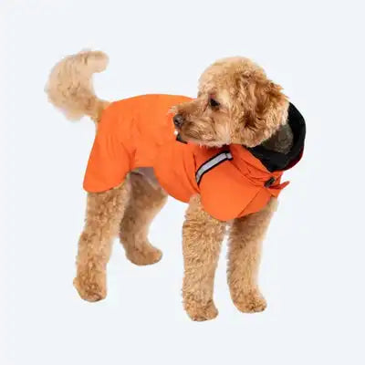 Дощовик для собак Rio Orange, M