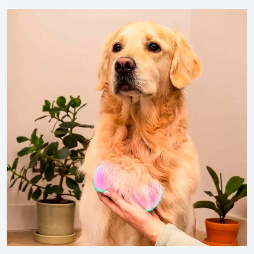 Щітка для вичісування собак Pet Teezer Mint/Pink