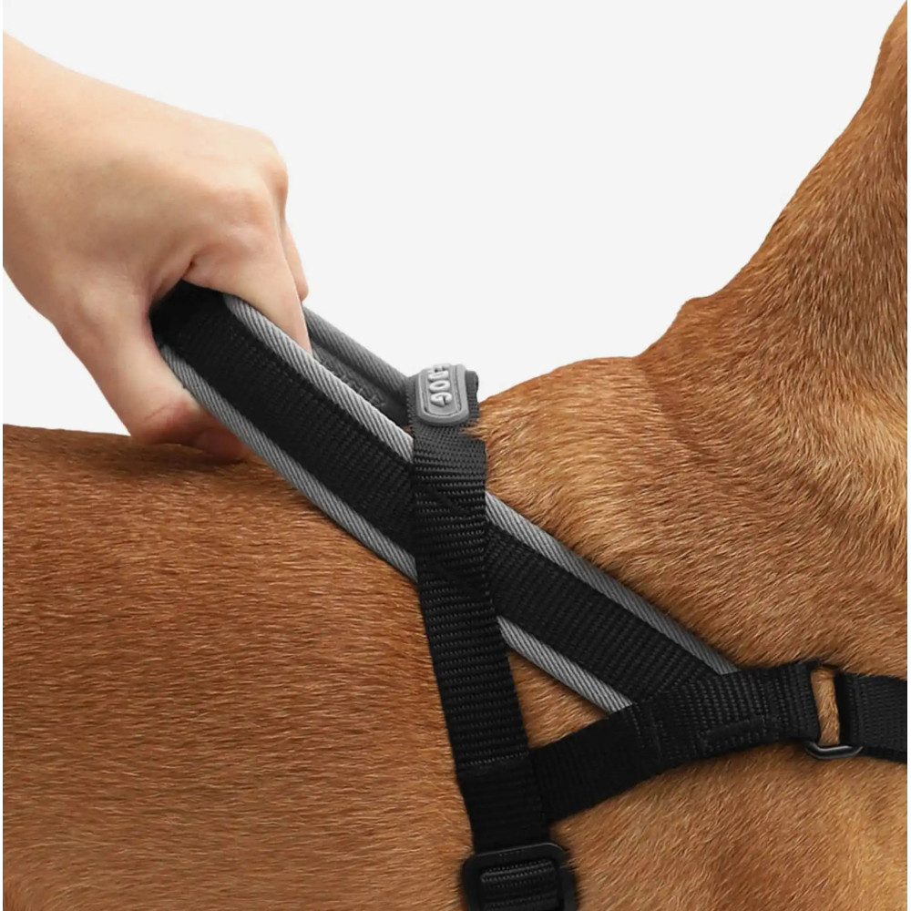 Шлея для собак Zee.Dog - GOTHAM SOFTER WALK HARNESS, S