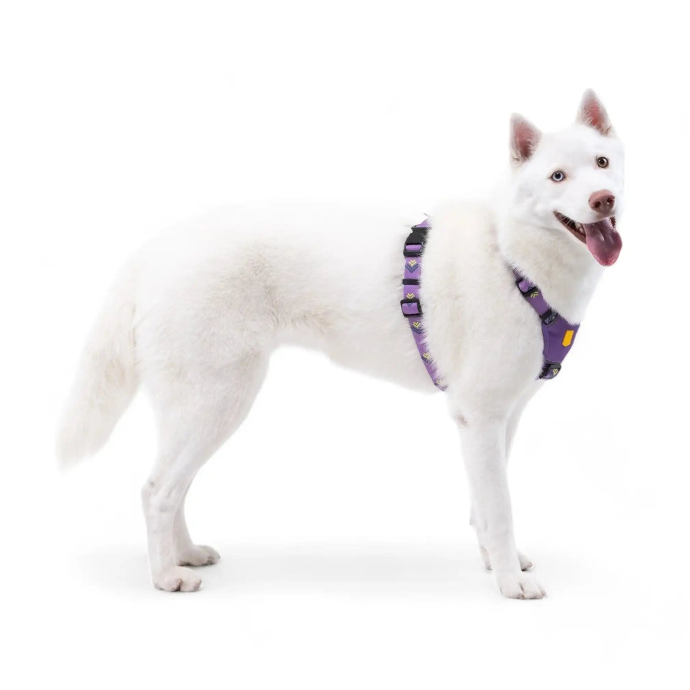 Шлея для собак Northern Lights Woolly Wolf, XXS