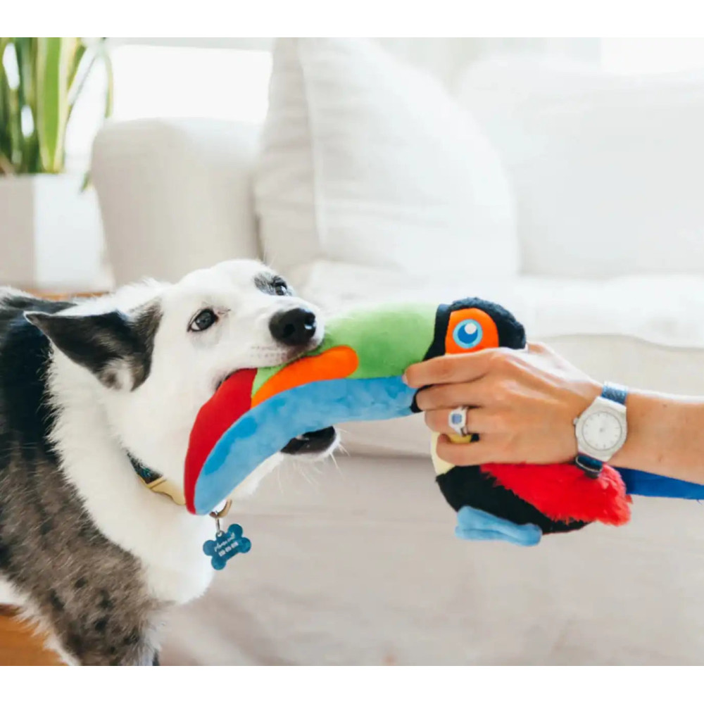 Іграшка для собак Fetching Flock Collection - Toucan Pet Play
