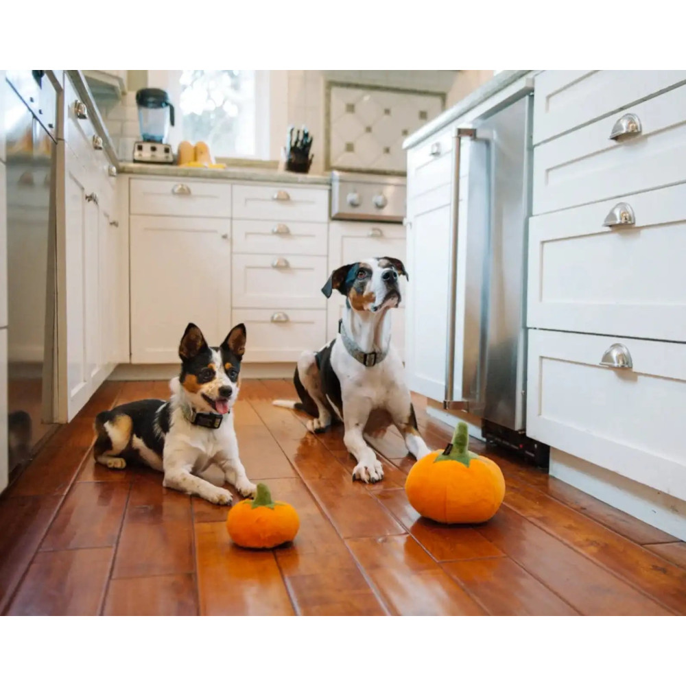 Іграшка для собак Garden Fresh Toy - Pumpkin Pet Play, Standart