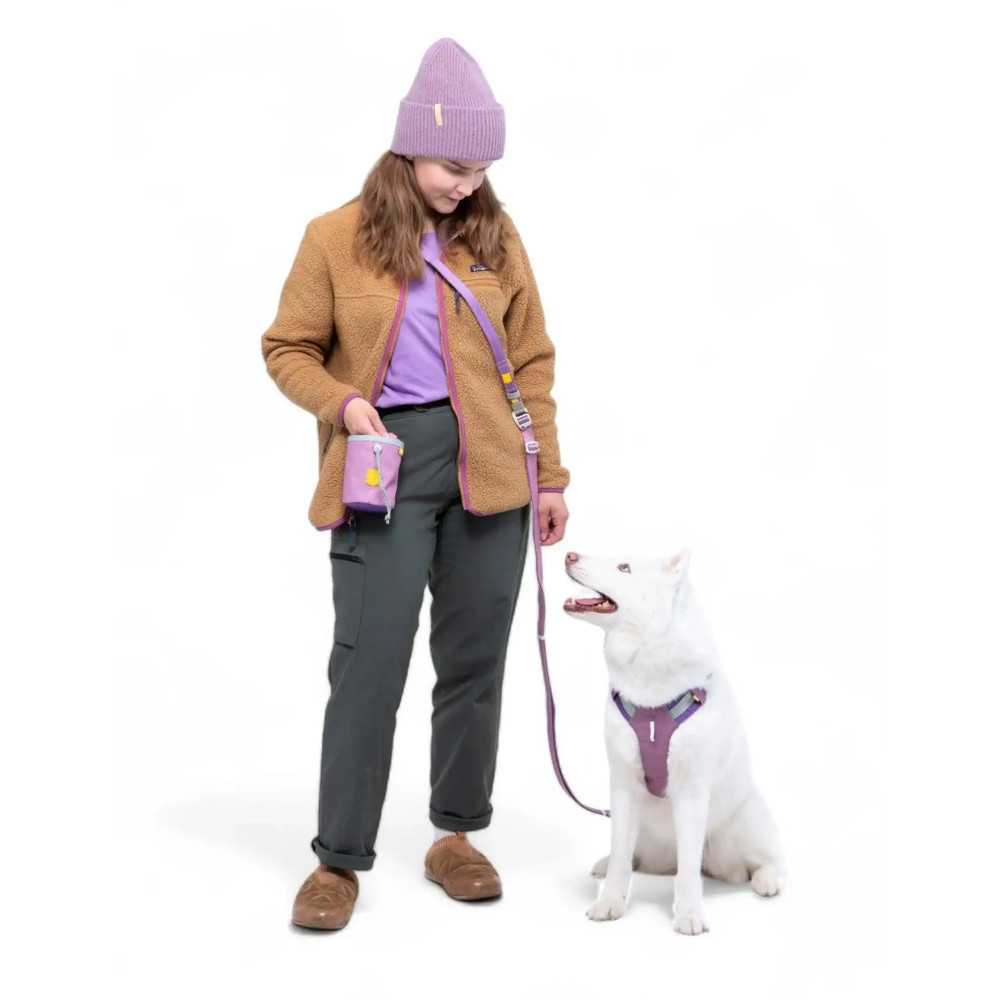 Повідець - перестібка Multi-use для собак Woolly Wolf (Mauve Mix), 170-300 cм.