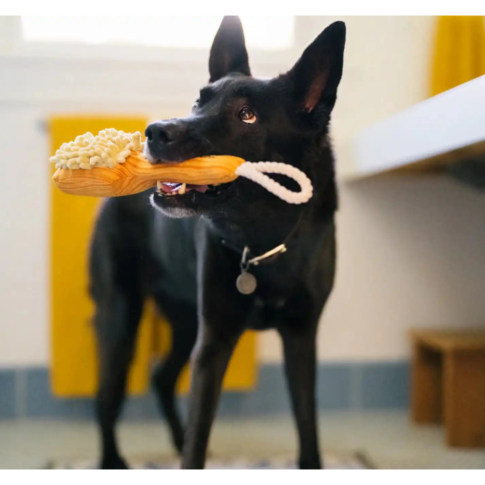 Іграшка для собак Splish Splash - Bark n' Bristles Pet Play