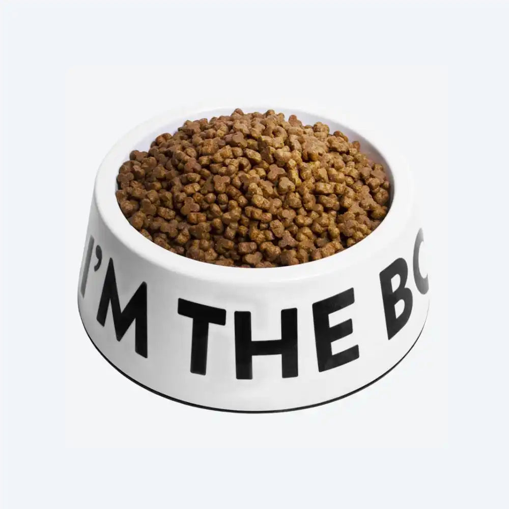 Миска меламінова I'M THE BOSS Zee.Dog - Zee.WHITE, 600 мл.