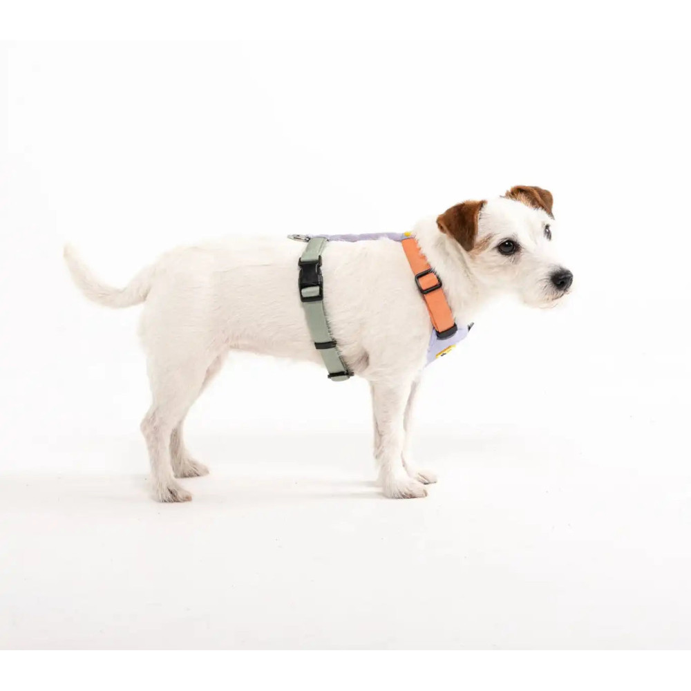 Шлея для собак Woolly Wolf Color Block Harness Salmon Pink Mix, XXS