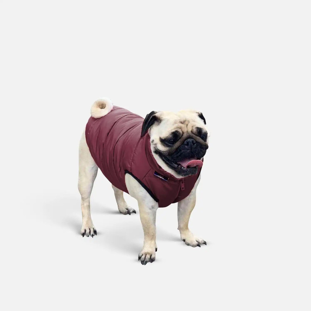 Куртка для собак Scotty Bordo - Noble pet, XS