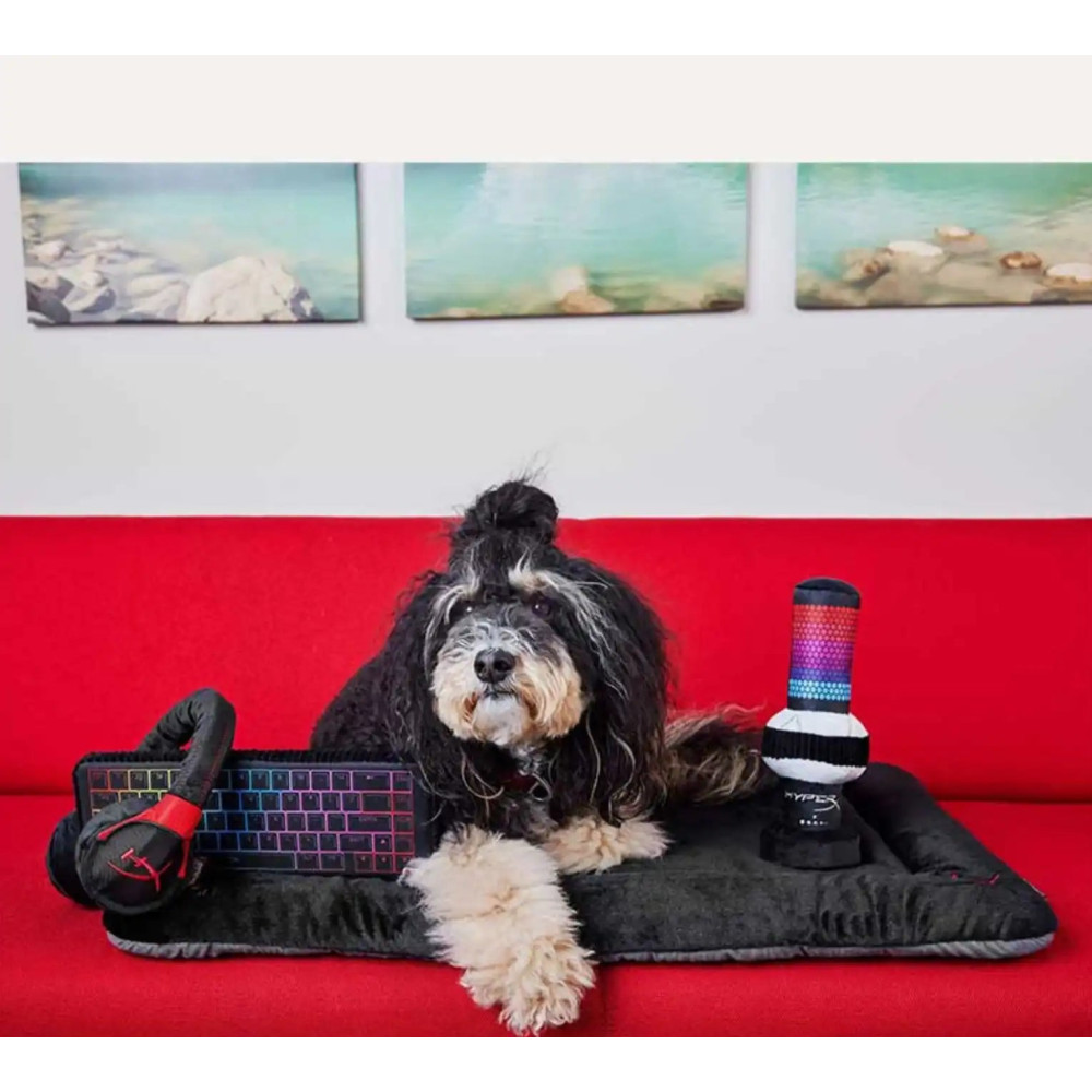 Іграшка для собак P.L.A.Y. x HyperX - Quadcast Pet Play