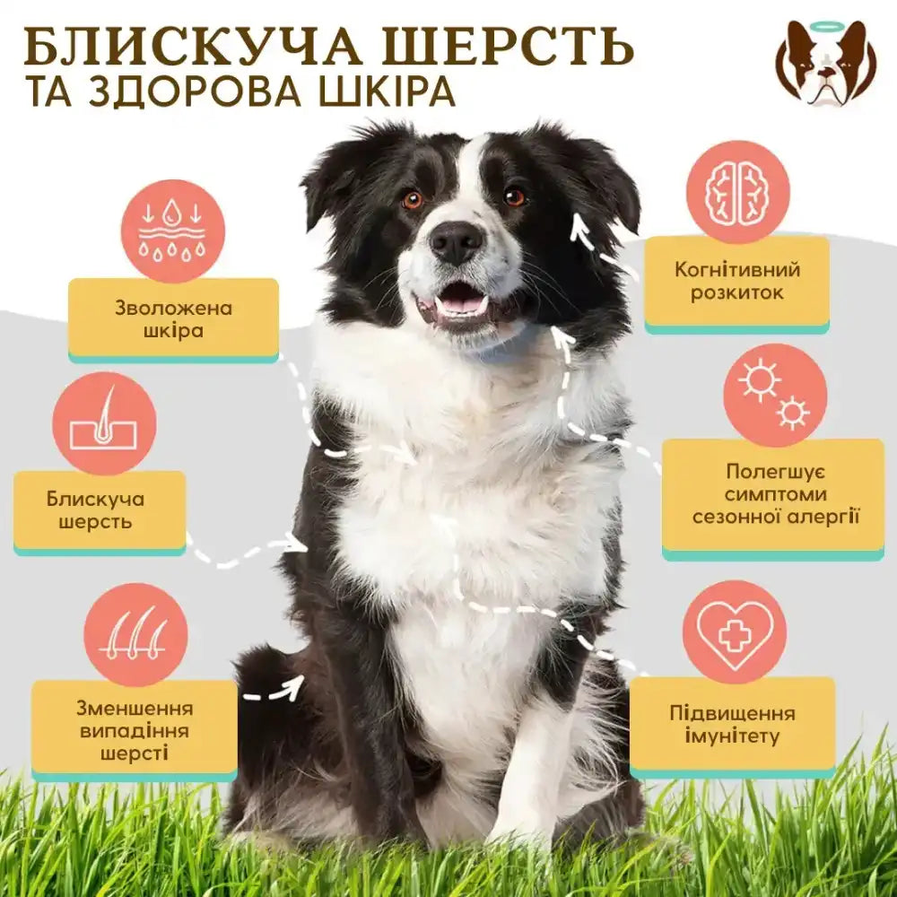 Вітамінний комплекс для шкіри і шерсті собак Skin&Coat Natural Dog Company 90шт, 90 шт.