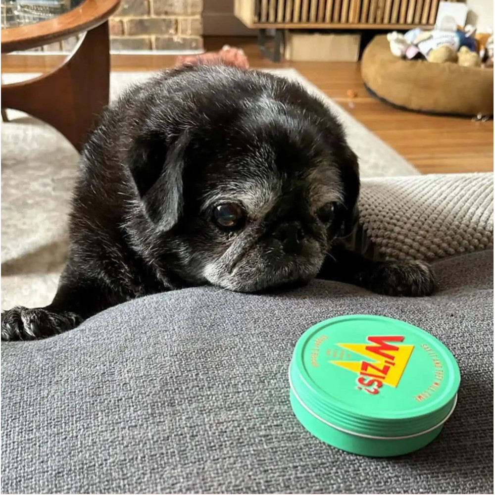 Веганські смаколики для собак w`zis в баночках (Slipper & Biscuit Tin of Treats)- 50 грам, 50 гр