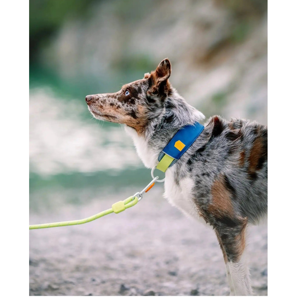 Нашийник Woolly Wolf Alpha 360 Collar Deep Teal Mix, S