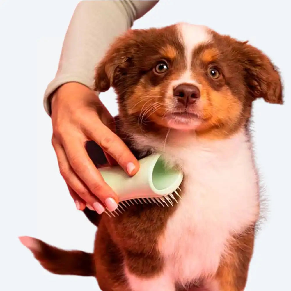 Щітка для вичісування собак Pet Teezer Mini Green