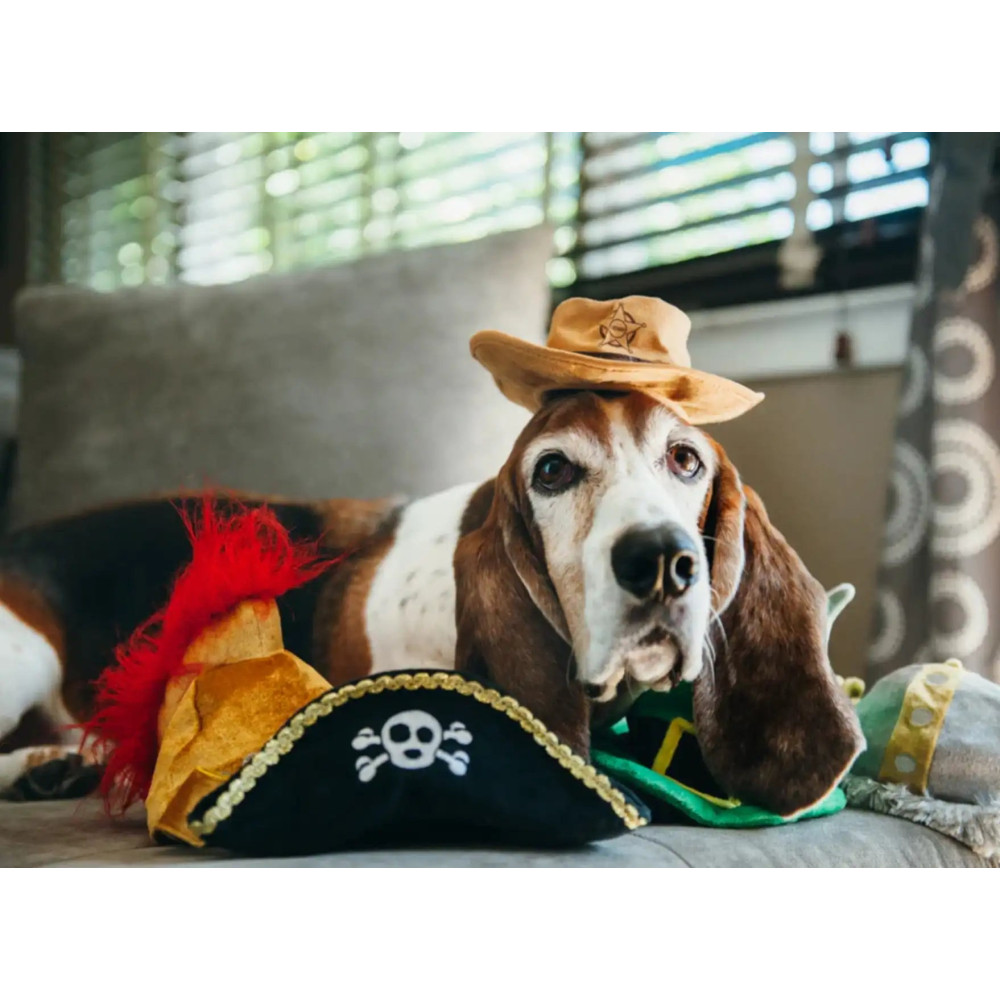 Капелюх для собак Mutt Hatter - Pirate Pet Play