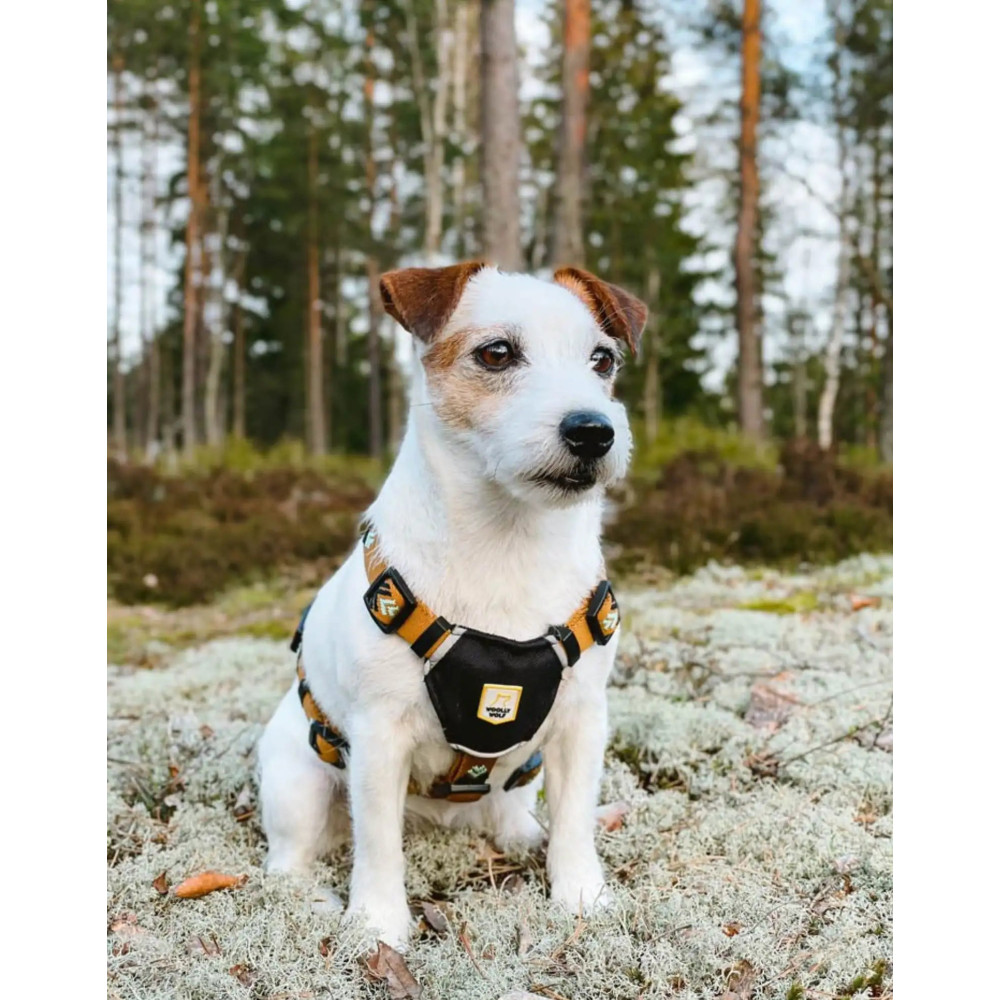 Шлейка Woolly Wolf Sea to Summit Harness, XXS