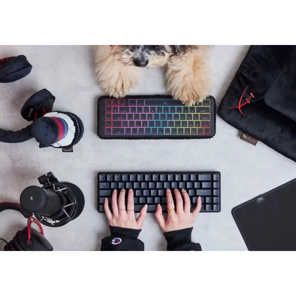 Іграшка для собак P.L.A. Y. x HyperX - Keyboard Pet Play