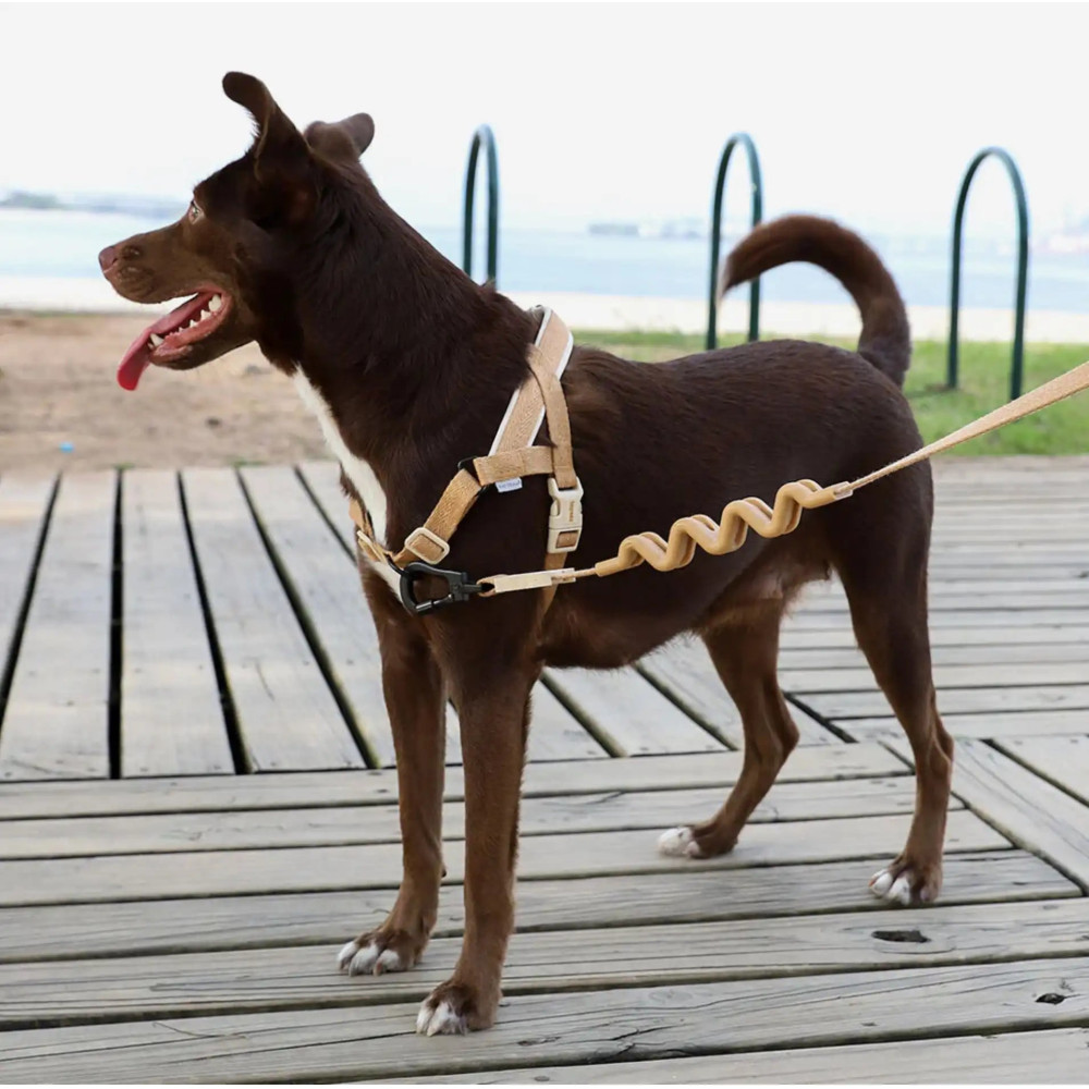 Шлея для собак Zee.Dog - DUNE SOFTER WALK HARNESS, S