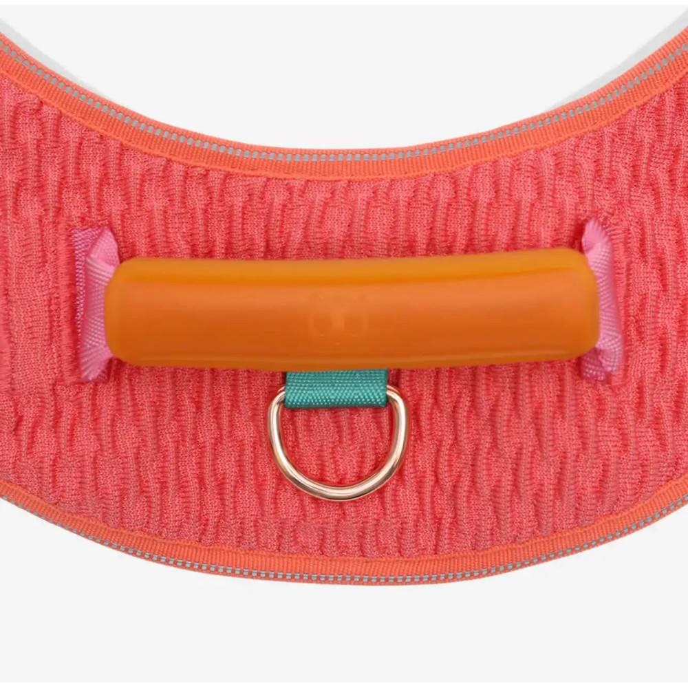 Шлея для собак Zee.Dog - Gazelle FlyHarness, 1