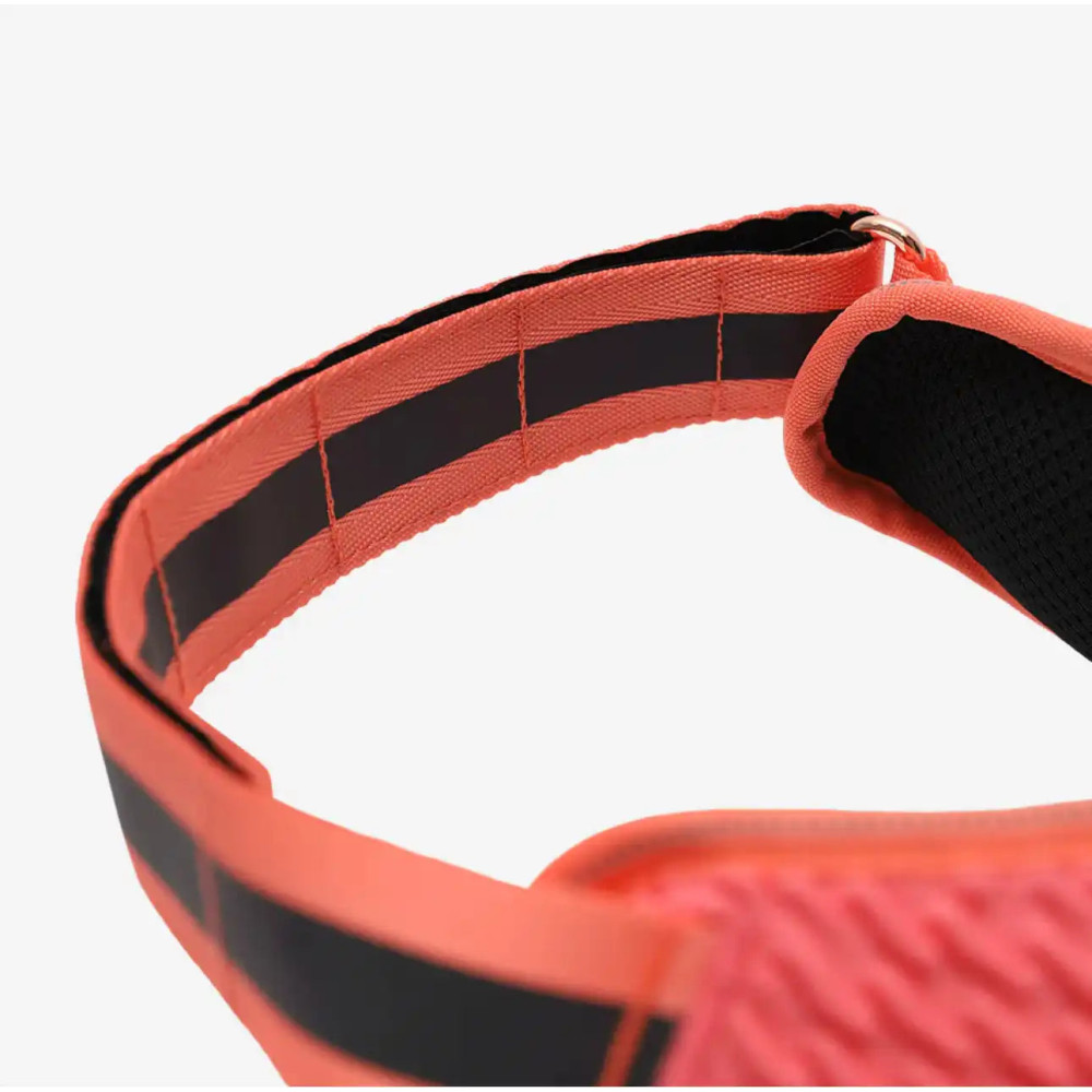 Шлея для собак Zee.Dog - Gazelle FlyHarness, 1