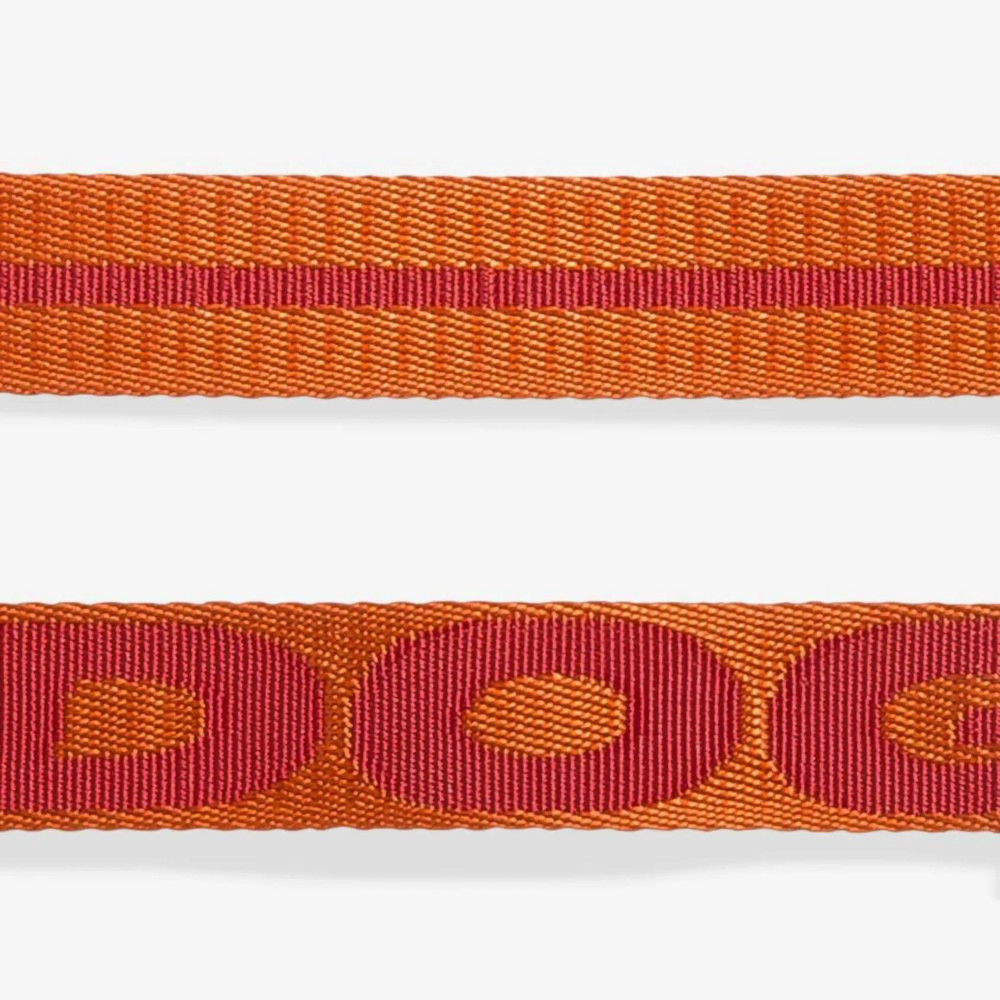 Повідець для собак Zee.Dog - Gibson Leash, XS