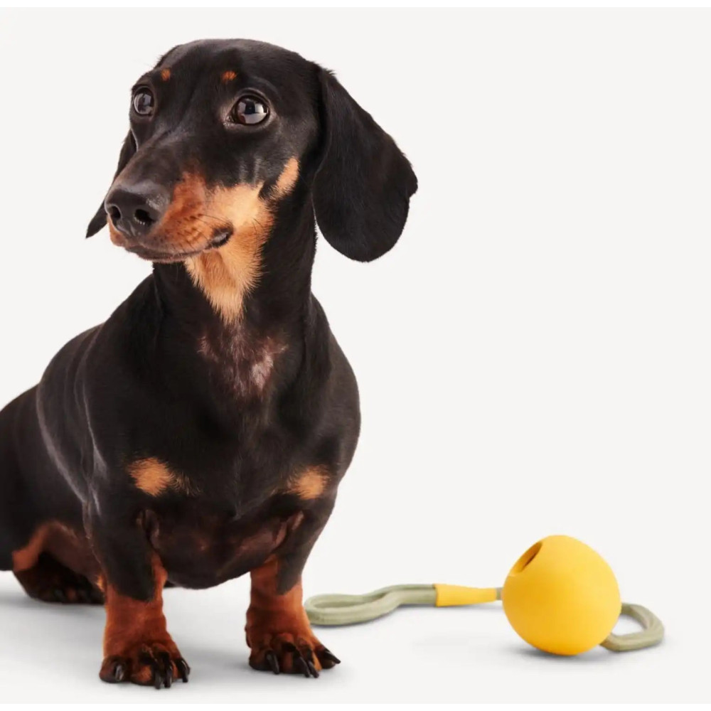 Іграшка м'ячик на мотузці для собак Beco Pets Slinger Ball Жовтий
