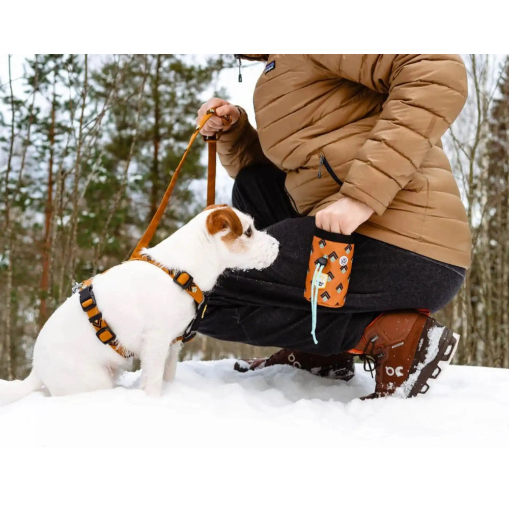 Сумка для ласощів Woolly Wolf Sea to Summit Dog Snack Bag