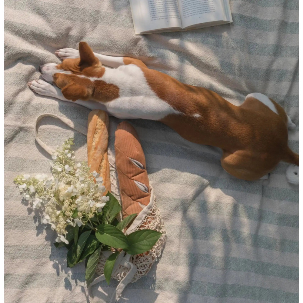 Пошукова іграшка для собак BAGUETTE Lambwolf