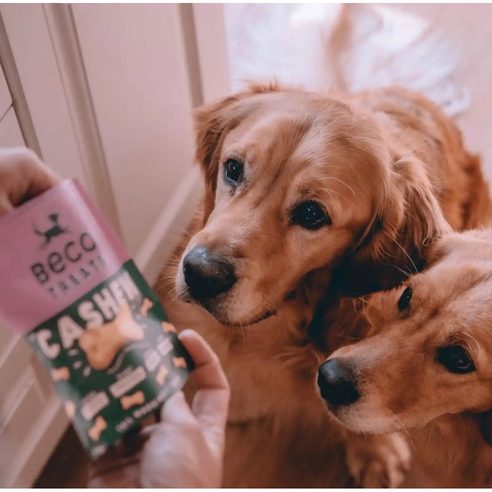 Печиво для собак Beco Pets Кеш'ю з гарбузовим насінням і морквою 70 г (рослинний білок), 70 грам.