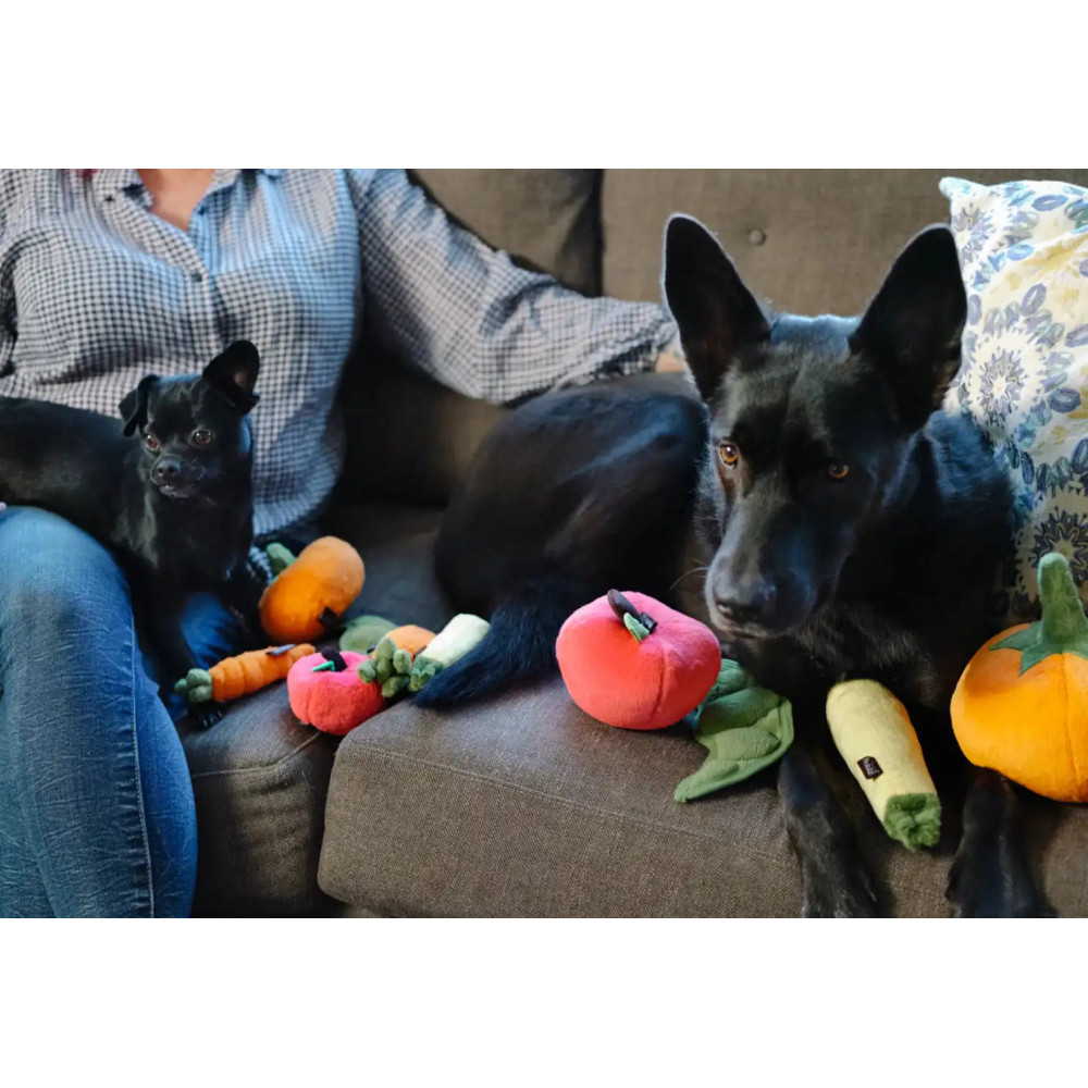 Іграшка для собак Garden Fresh Toy - Apple Pet Play, Mini