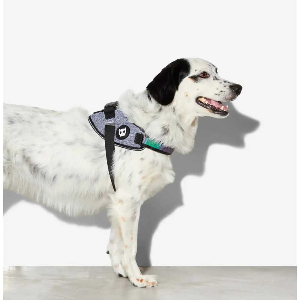 Шлея для собак Zee.Dog - Urban FlyHarness grey, 1