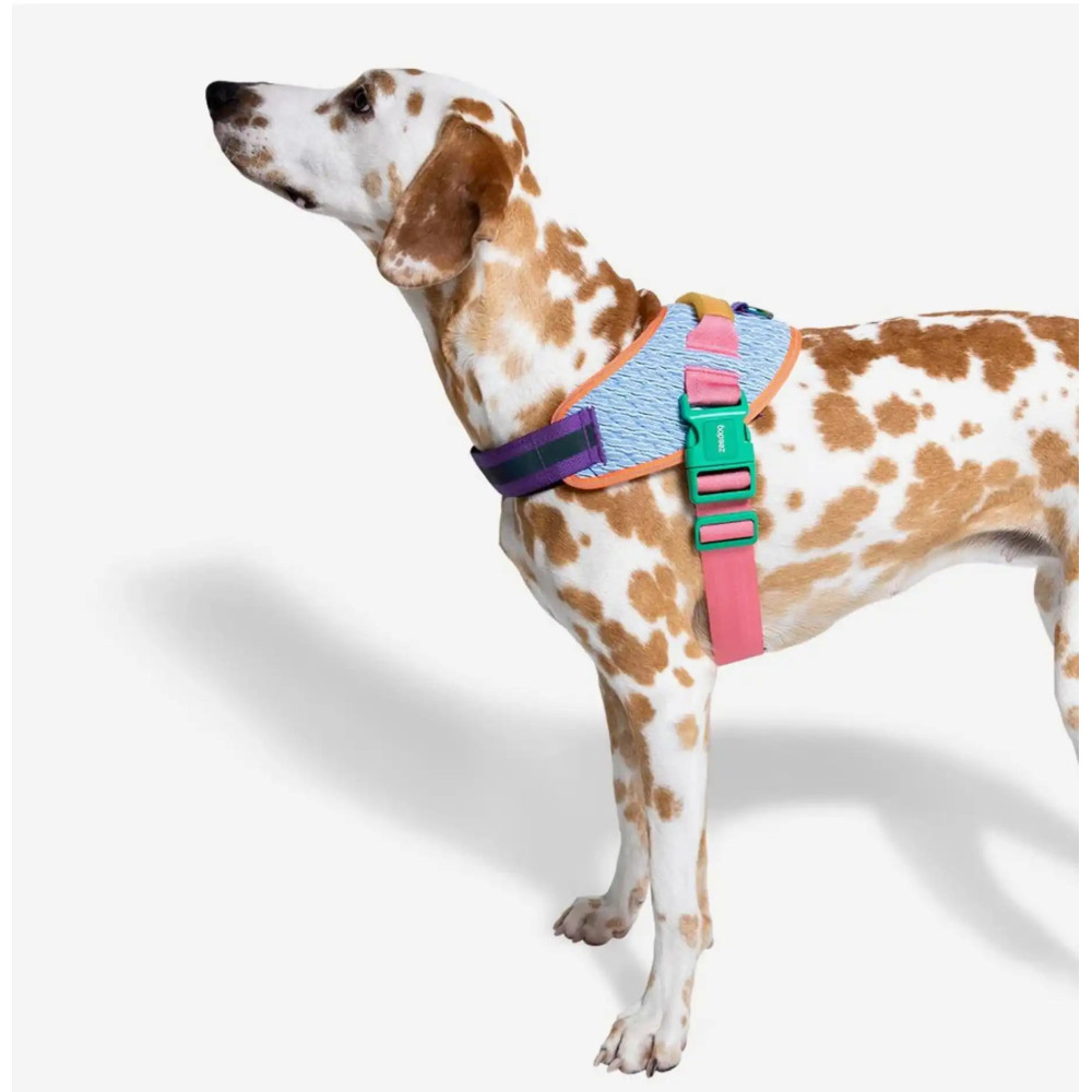 Шлея для собак Zee.Dog - Galaxy FlyHarness, 1