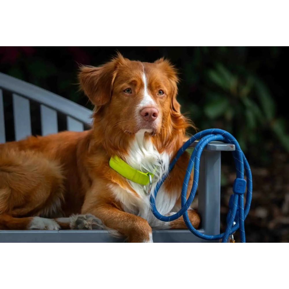 Повідець Woolly Wolf Rope Leash Pigeon Blue - 180см., 8мм-товщина