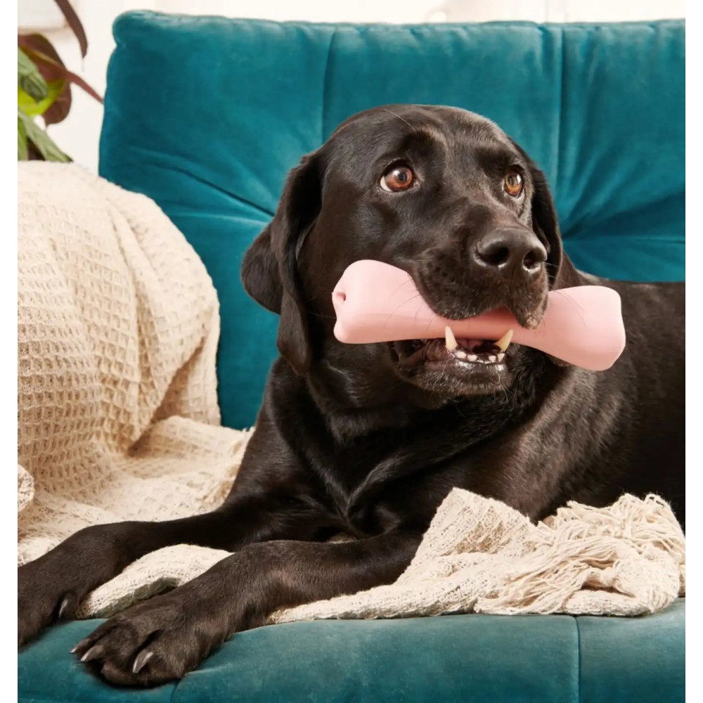 Жувальна іграшка з отвором для ласощів для собак Beco Pets Treat Bone Рожевий
