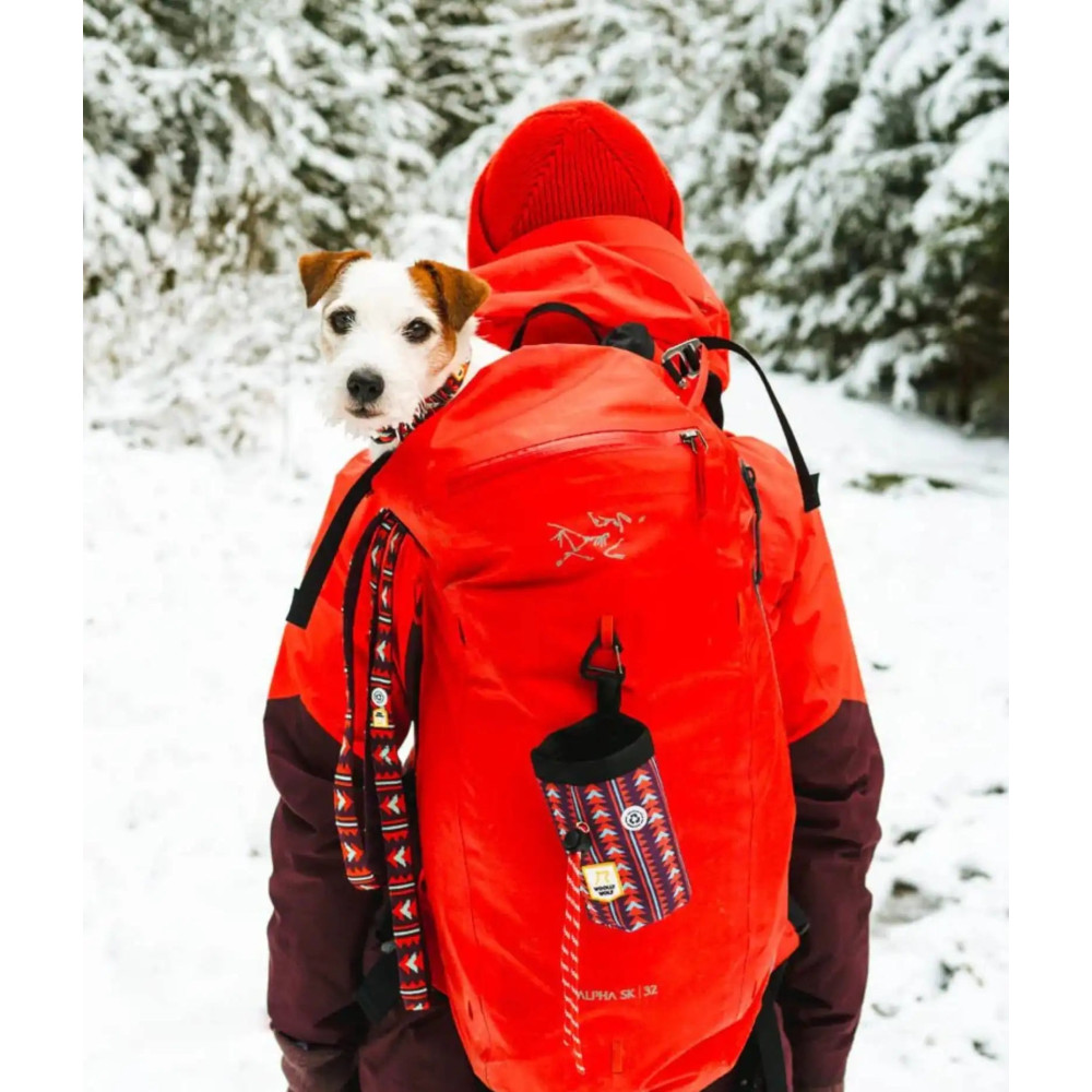 Сумка для ласощів Woolly Wolf Polar Night Dog Snack Bag
