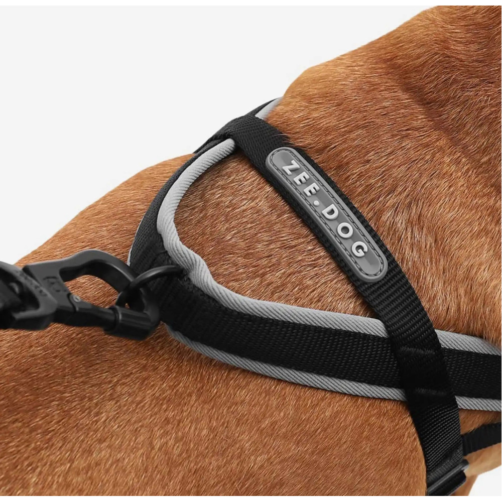 Шлея для собак Zee.Dog - GOTHAM SOFTER WALK HARNESS, S