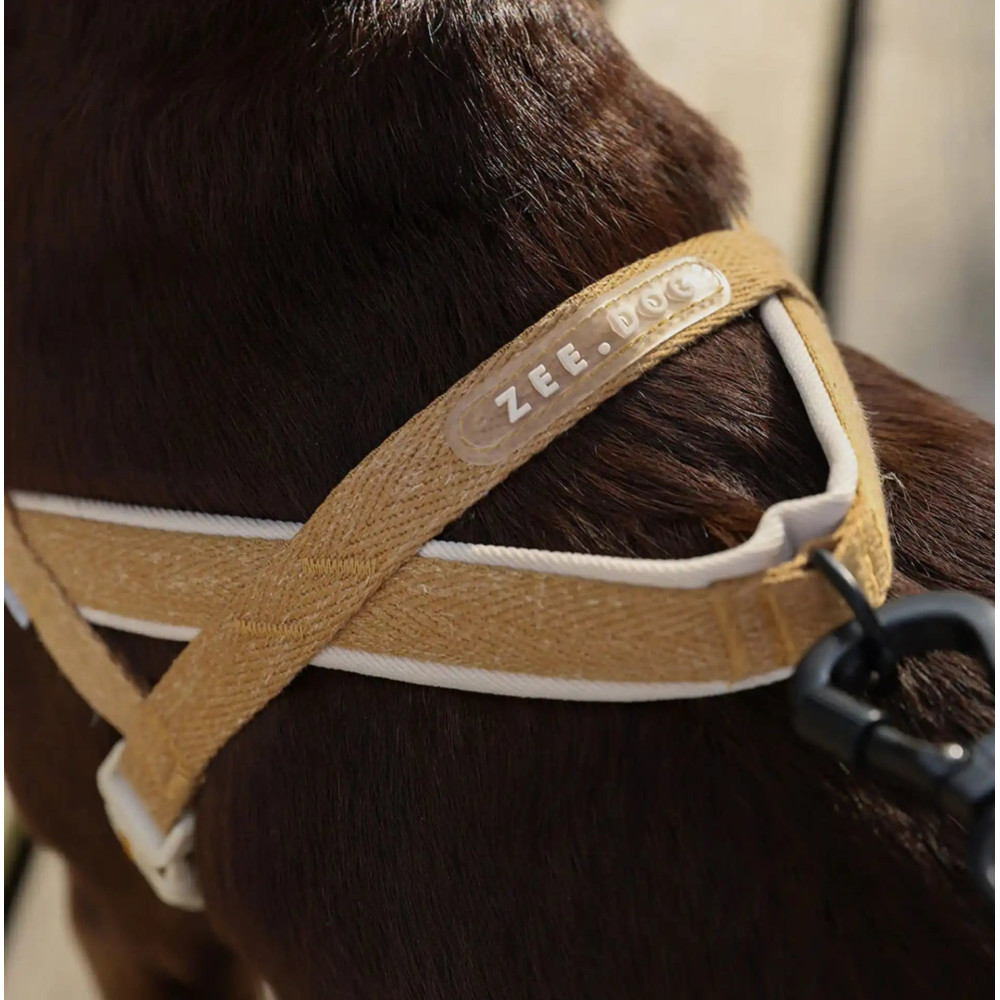 Шлея для собак Zee.Dog - DUNE SOFTER WALK HARNESS, S