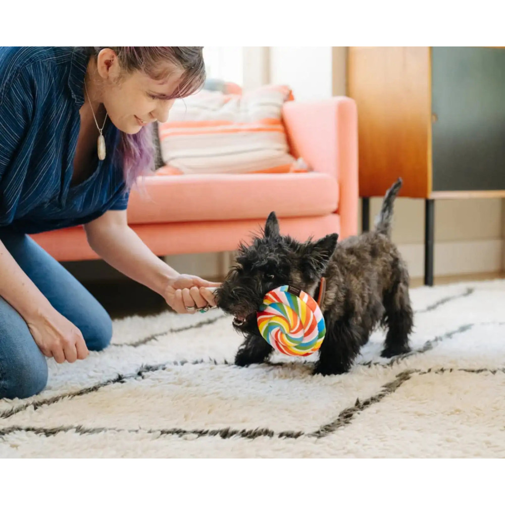 Іграшка для собак Snack Attack - Lollipup Pet Play, Mini