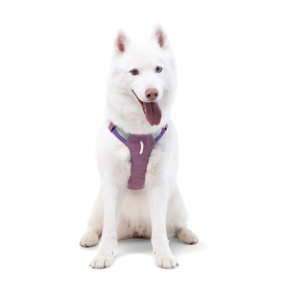 Шлея для собак Alpha 360 Woolly Wolf Mauve Mix, M