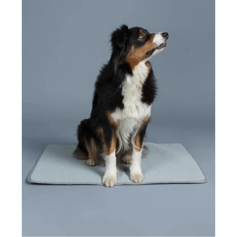 Килимок для собак Охолоджуючий Cooling Blanket Grey Paikka, 80*60см.
