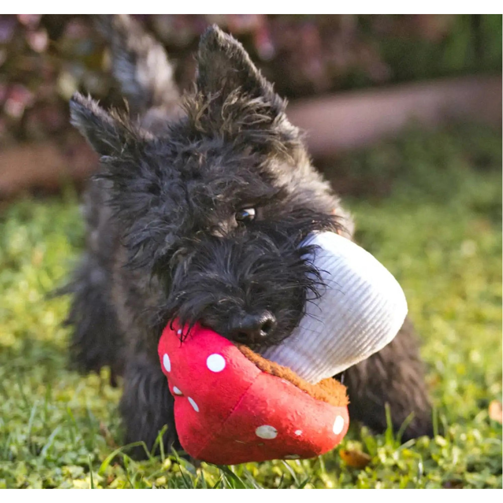 Іграшка для собак Blooming Buddies Collection - Mutt Mushroom Pet Play