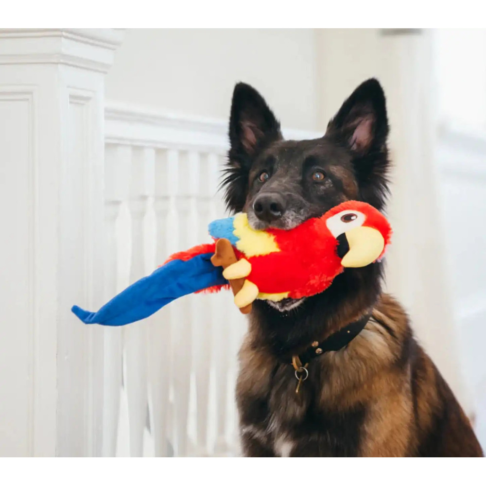 Іграшка для собак Fetching Flock Collection - Parrot Pet Play