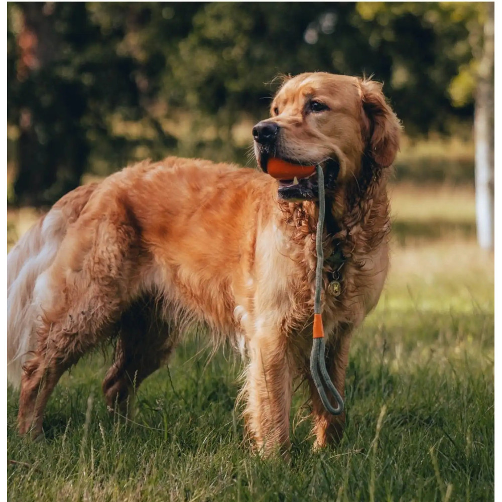 Іграшка м'ячик на мотузці для собак Beco Pets Slinger Ball Помаранчевий