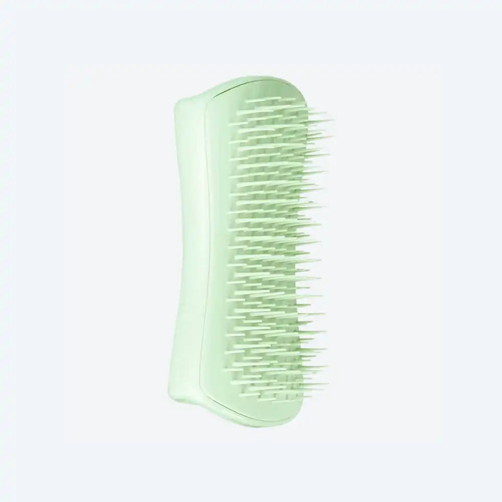 Щітка для вичісування собак Pet Teezer Mini Green