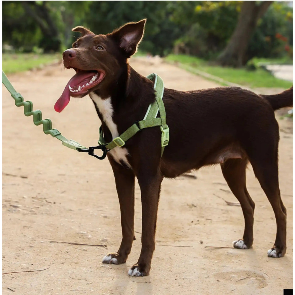 Шлея для собак Zee.Dog - MOSS SOFTER WALK HARNESS, S