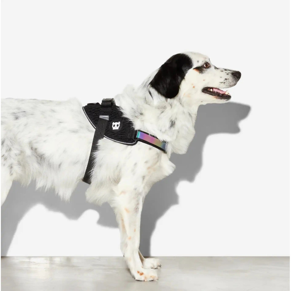 Шлея для собак Zee.Dog - Gotham FlyHarness black, 1
