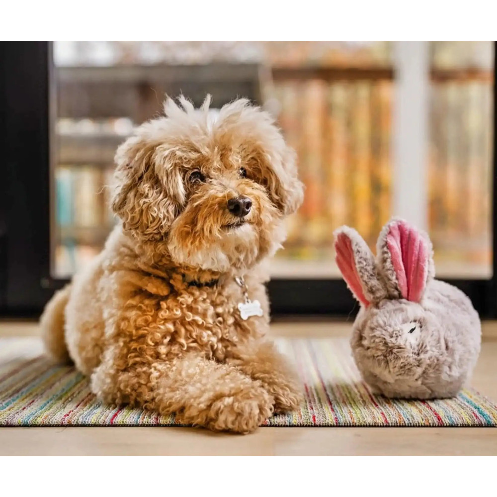 Іграшка для собак Baxter the Bunny Forest Friends Pet Play