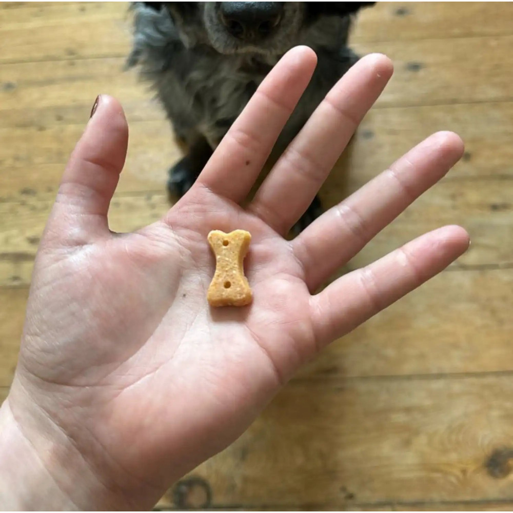 Печиво для собак Beco Pets Кеш'ю з гарбузовим насінням і морквою 70 г (рослинний білок), 70 грам.