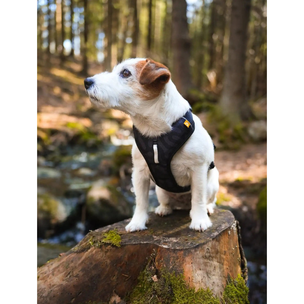 Шлея для собак Woolly Wolf Roam Harness Black Ripple, XS