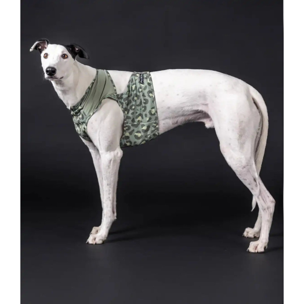 Охолоджуючий жилет для собак PAIKKA Cool Vest Green Leo, XXS