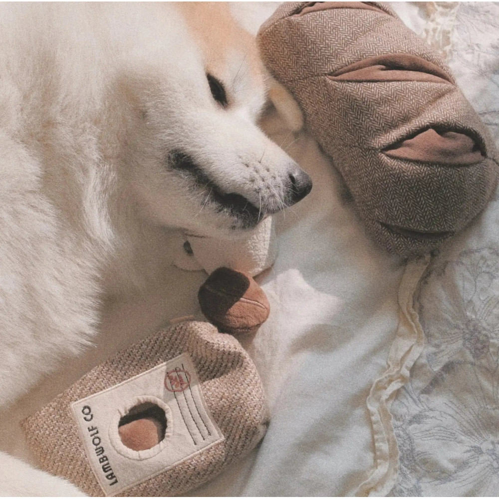 Пошукова іграшка для собак Coffee Bean Lambwolf