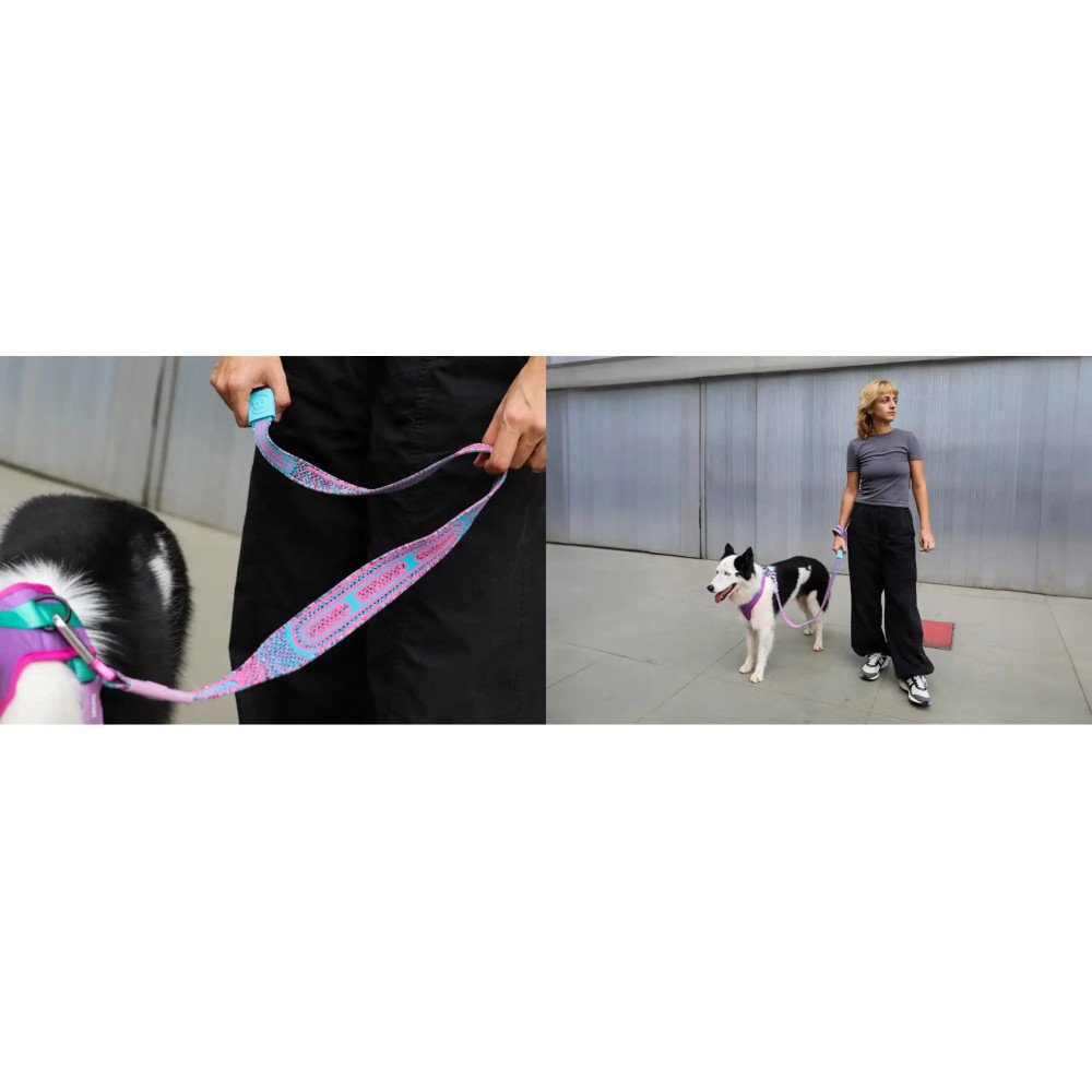 Повідець для собак Zee.Dog - NitLeash Candy 100 см.